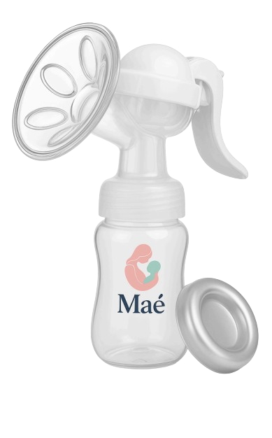 screenshot 2025 12 19 184634 removebg preview